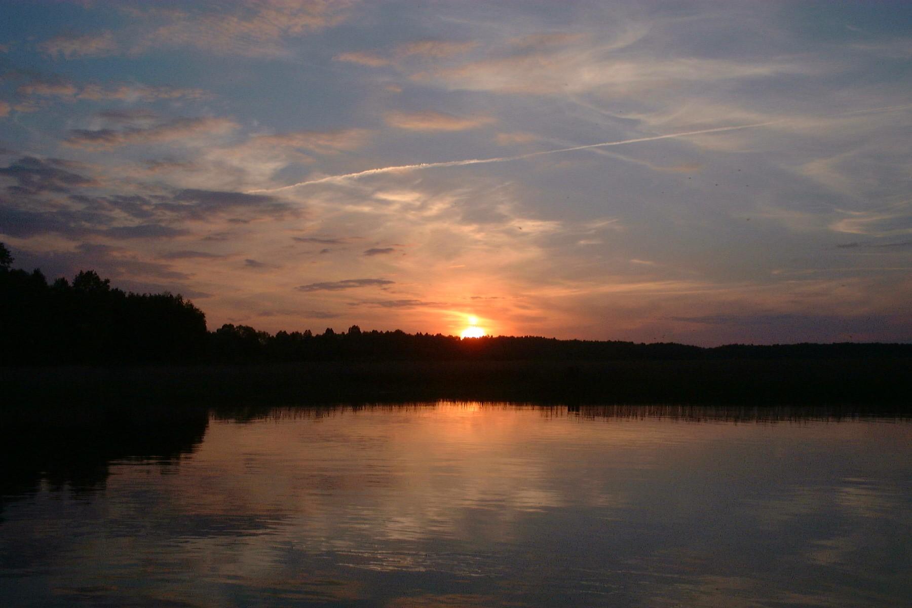 Roś